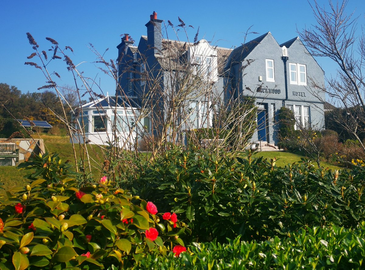 Great to see a bit of colour in the garden. Been confirmed Portpatrick Folk Festival is to be on this year. News on Lifeboat Week to follow soon #portpatrick