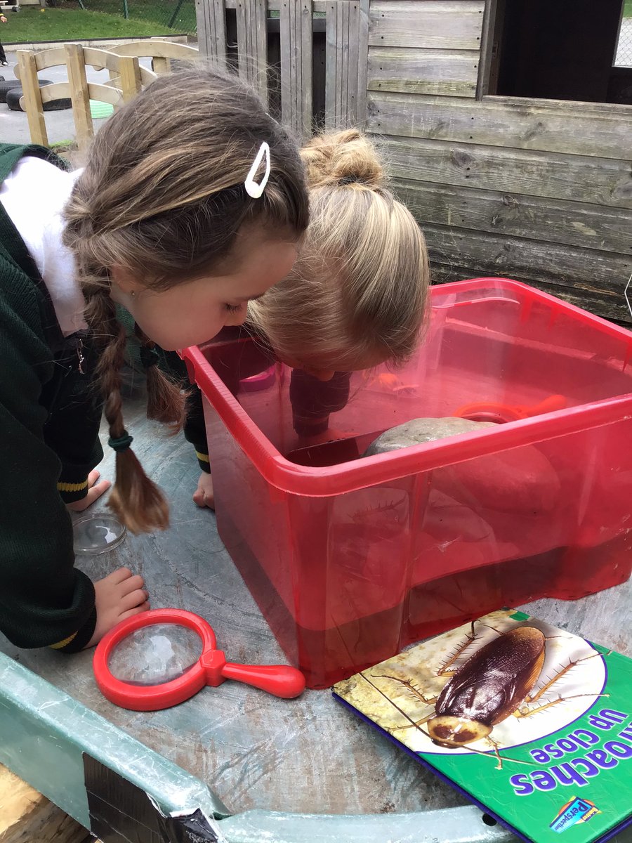 ElmridgeSchN's tweet photo. We are keeping a close eye on our tadpoles, waiting to seee them turn into froglets #lifecycle #WeareBrightFutures @ElmridgeScience https://t.co/1CMSjqoRWg