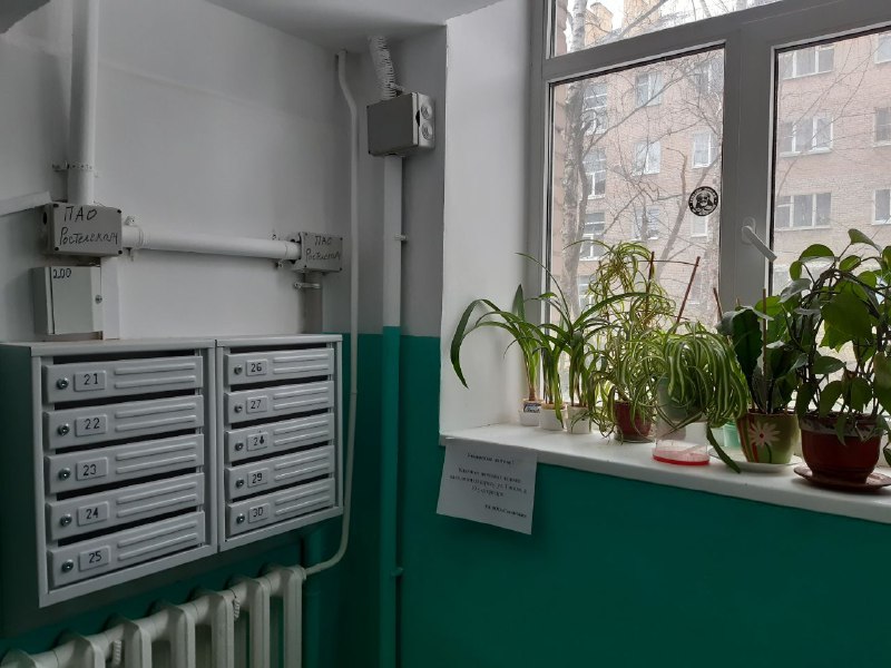 В городском округе Люберцы продолжается ремонт подъездов в жилых домах.

29 марта глава г.о. Люберцы Владимир Ружицкий проверил качество ремонта подъездов в доме № 30 на улице Гоголя в поселке Томилино.
Силами УК «Содействие» в подъездах проделан… t2p.pw/dtU8HHkPoH