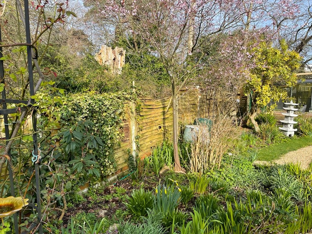 ColourfenceLtd's tweet photo. What a transformation! 😍 😎
#ColourFence #metalfencing https://t.co/SfPKfM7LrM