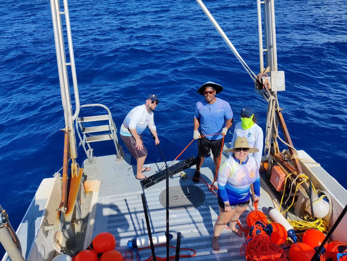 Blue Abacus tweet media