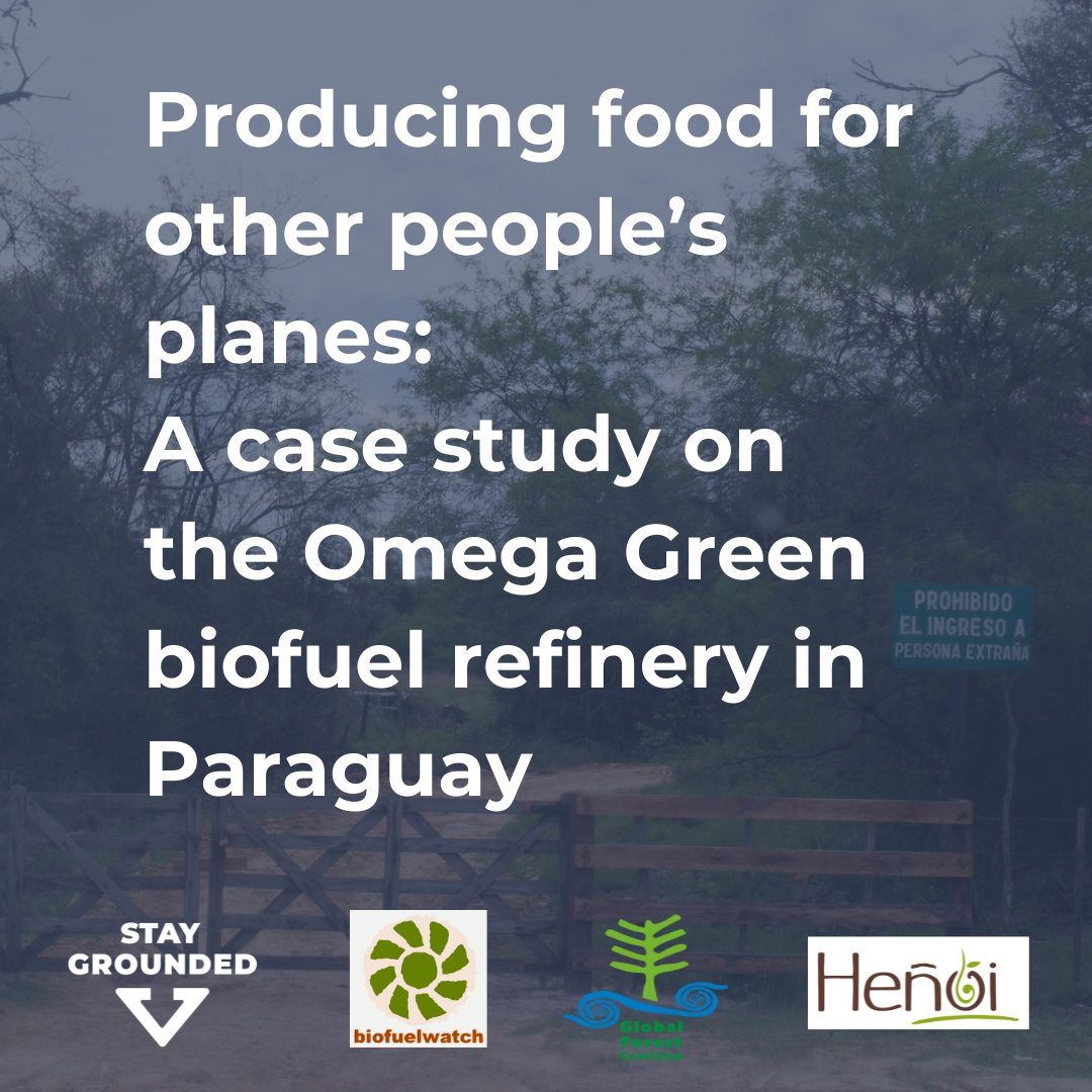 Stay Grounded - @staygroundednet on Bluesky 🦋 (@staygroundednet) on Twitter photo Just released: case study on the Omega Green mega #biofuel refinery shows impacts of agrofuels for #aviation on Santa Rosa community, their livelihoods and ecosystems in Paraguay.
👉 Get the report: stay-grounded.org/agrofuel-case-…
1/10
<a href="/StayGroundedNet/">Stay Grounded - @staygroundednet on Bluesky 🦋</a>, @biofuelwatch, @gfc123, <a href="/henoi_py/">Heñói Centro de Estudios</a> Just released: case study on the Omega Green mega #biofuel refinery shows impacts of agrofuels for #aviation on Santa Rosa community, their livelihoods and ecosystems in Paraguay.
👉 Get the report: stay-grounded.org/agrofuel-case-…
1/10
<a href="/StayGroundedNet/">Stay Grounded - @staygroundednet on Bluesky 🦋</a>, @biofuelwatch, @gfc123, <a href="/henoi_py/">Heñói Centro de Estudios</a>