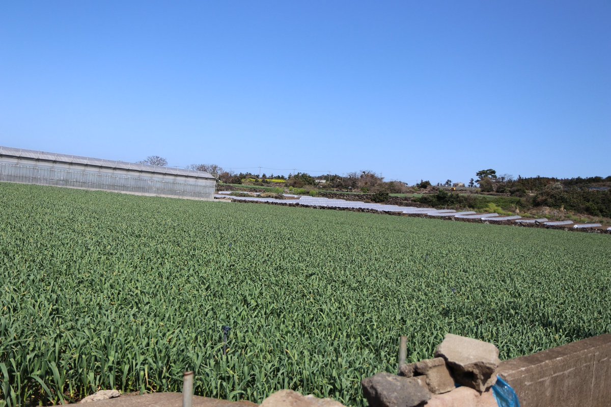 문왕수 (@shiri_300) on Twitter photo 