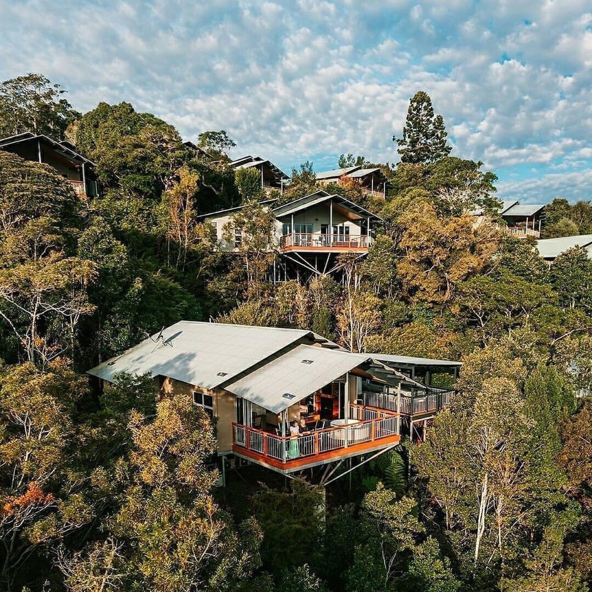 Australia's tweet photo. If there was a prize for the most epic treehouse, we reckon @OReillys_GC would be a top contender 💚

An hour from @visitbrisbane in @Queensland's #LamingtonNationalPark, a trip to @VisitScenicRim will have you switching off in no time. 

#seeaustralia #thisisqueensland https://t.co/ms4Xgj2R1c