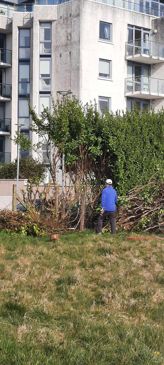 Siobhán tweet media