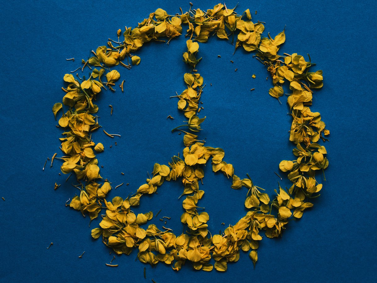 koheroMagazin's tweet photo. koheros @sciencehale talked to @TareqHadhad, founder of @peacebychoco in Canada, who shares the experiences of war and flight with those currently forced to flee from #Ukraine. Read their full convo about the uniting power of crises here: https://t.co/gMy93pnIXD
📸by engin akyurt https://t.co/MmlxKwpWPb