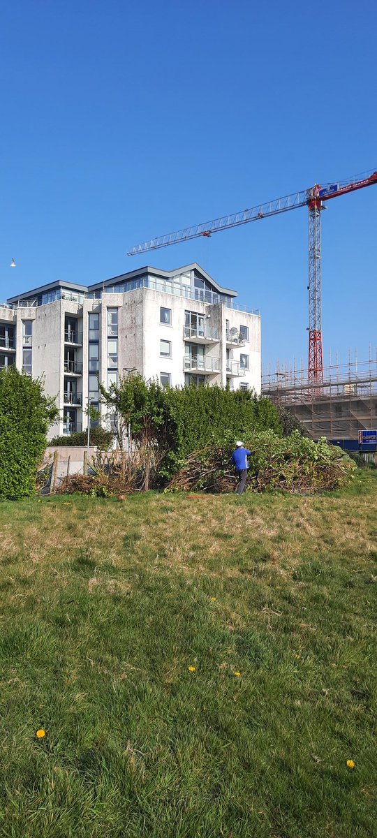 Siobhán tweet media