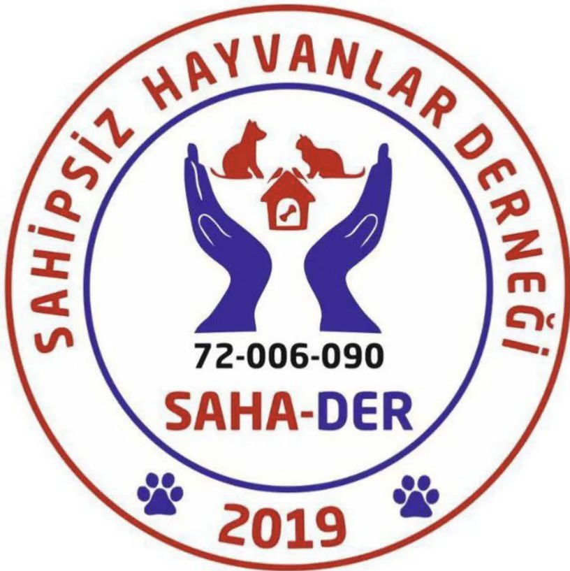 Sahipsiz Hayvanlar Derneği tweet media