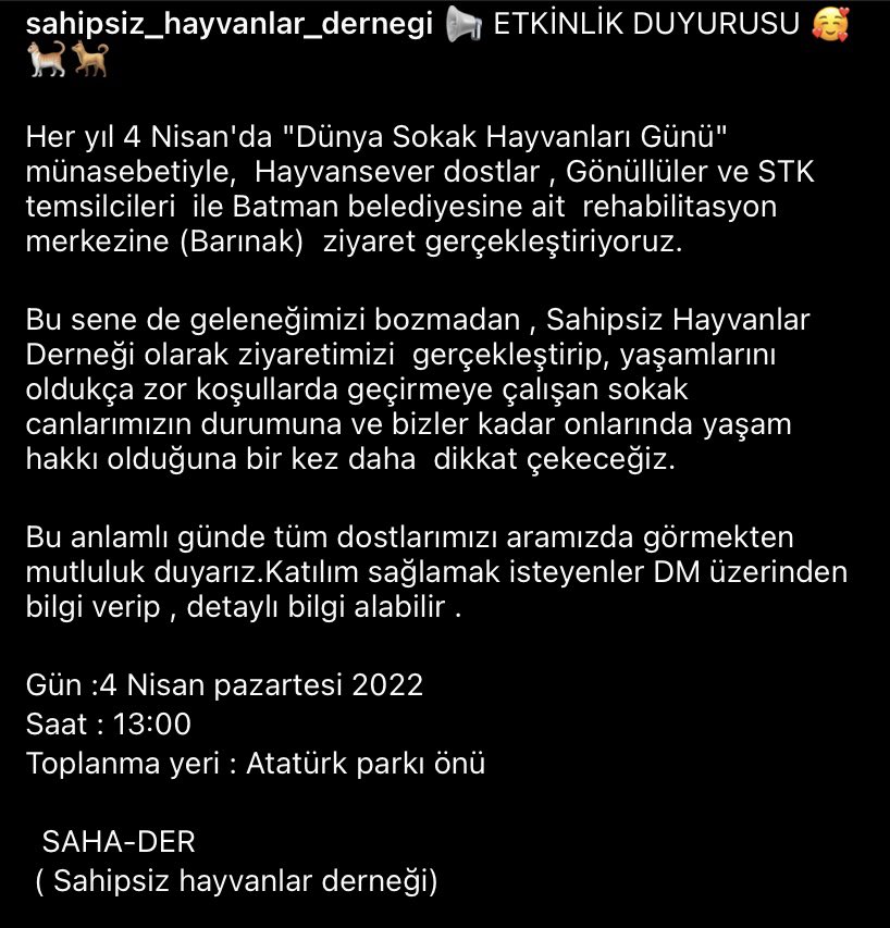 Sahipsiz Hayvanlar Derneği tweet media