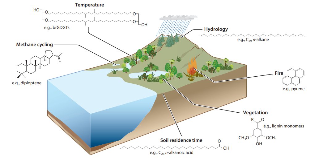 climategordon's tweet photo. New paper in @AnnualReviews - we review biomarker approaches for reconstructing terrestrial environmental change. Huge thanks to my co-authors @Triptychphrases, @FluvialSeds, @emzyholl, @SFeakins &amp; @leafwax! It's also @emzyholl first co-author paper!🎉

https://t.co/tkUC00Kfia https://t.co/K45F40Jqax