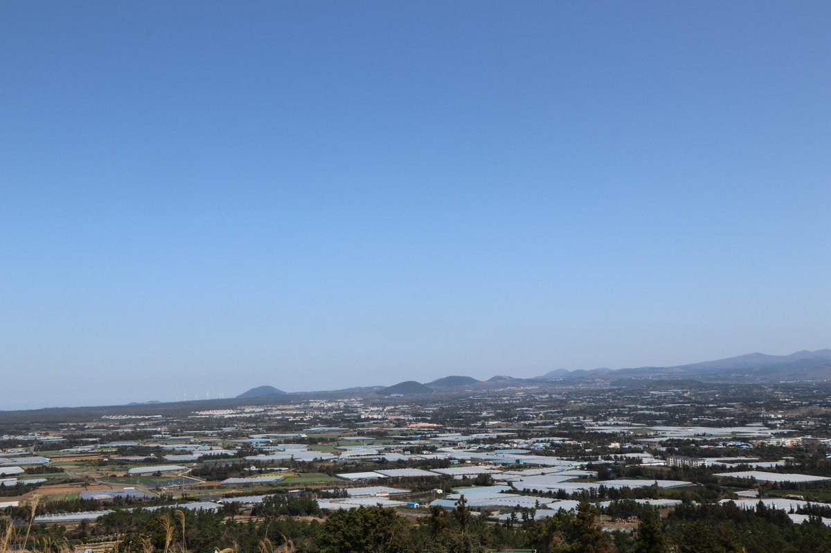 문왕수 tweet media