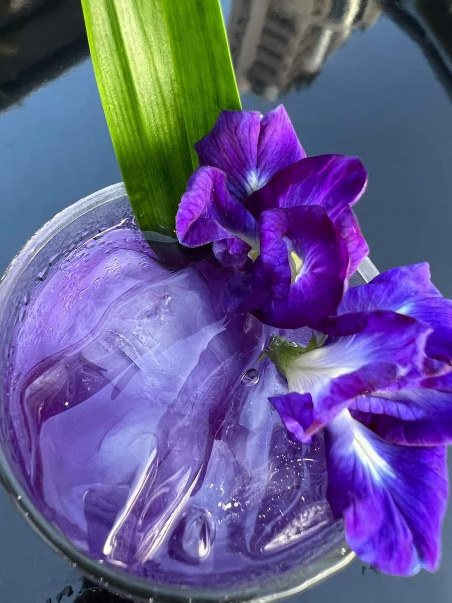 cloverasoke's tweet photo. ✨🦋 “Butterfly lemonade”

#rooftopbar #HotelCloverAsoke #Holidays #bangkok https://t.co/AqjkDRk0qj