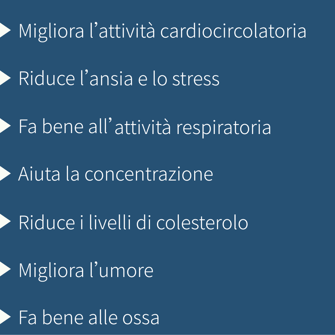 Scopriamo tutti i benefici dello sport nella sua giornata mondiale.
Scorri le immagini. #giornatamondialedellosport