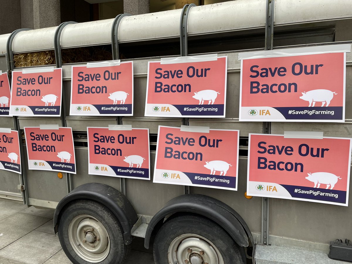 Pig farmers protest outside Dept of Ag getting underway.    Producers losing  56,000 per month, and culling of 10,000 sows has begun.  #rtenews #farminginIreland