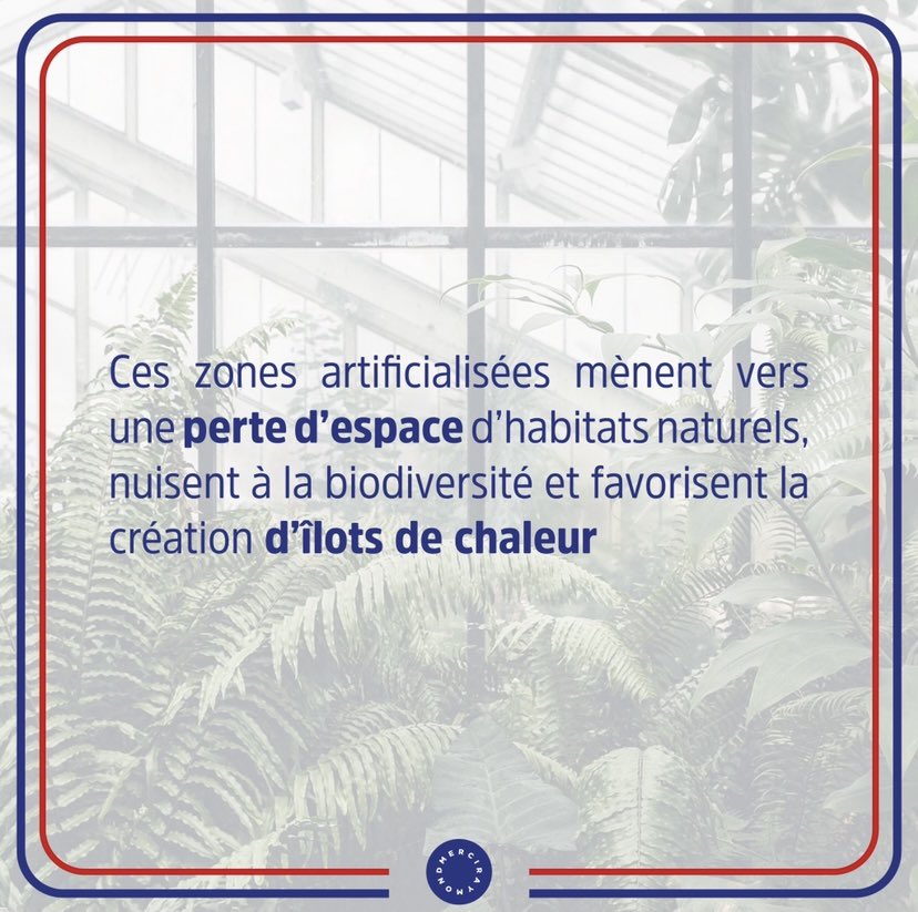 Merci_Raymond's tweet photo. LES RAYMONDS FONT CAMPAGNE
#programme2 Artificialisation des sols

Rendons la ville à la nature, cohabitons ensemble et faisons pousser des bourgeons plutôt que du béton !🌱

Venez découvrir le reste de notre programme sur instagram !@merciraymond

#révolutionverte #greencity https://t.co/CVsKCGXq17