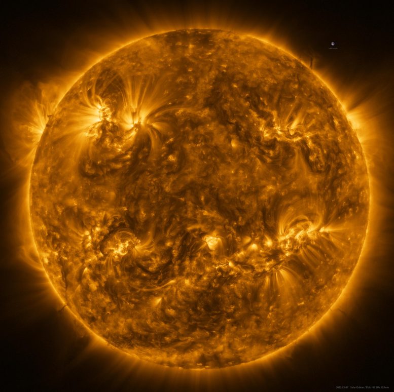 Solar Orbiter Spacecraft Captures the Full Sun in Unprecedented Detail

"The Sun as seen by Solar Orbiter in extreme ultraviolet light from a distance of roughly 75 million kilometers."
scitechdaily.com/solar-orbiter-…