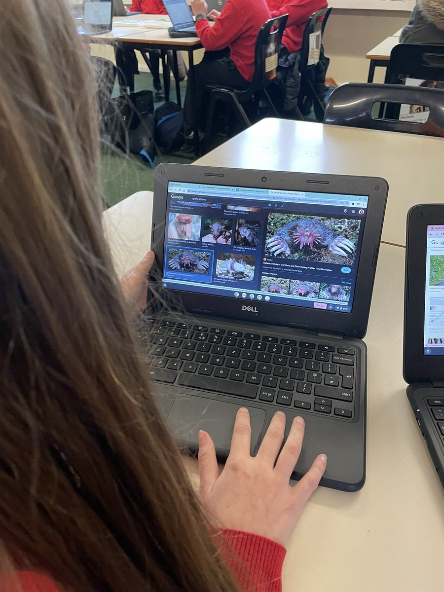 TPS Aspirations tweet media