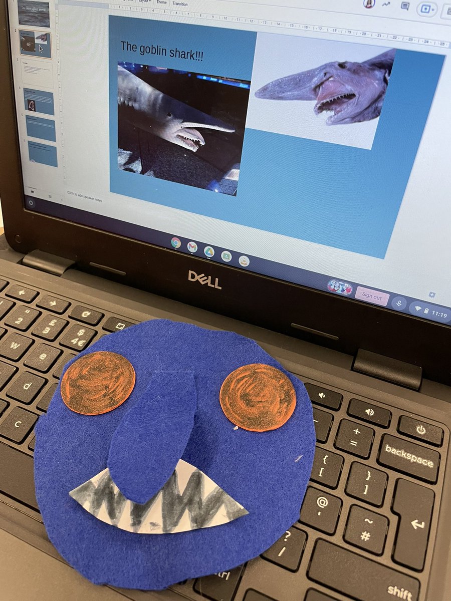 TPS Aspirations tweet media