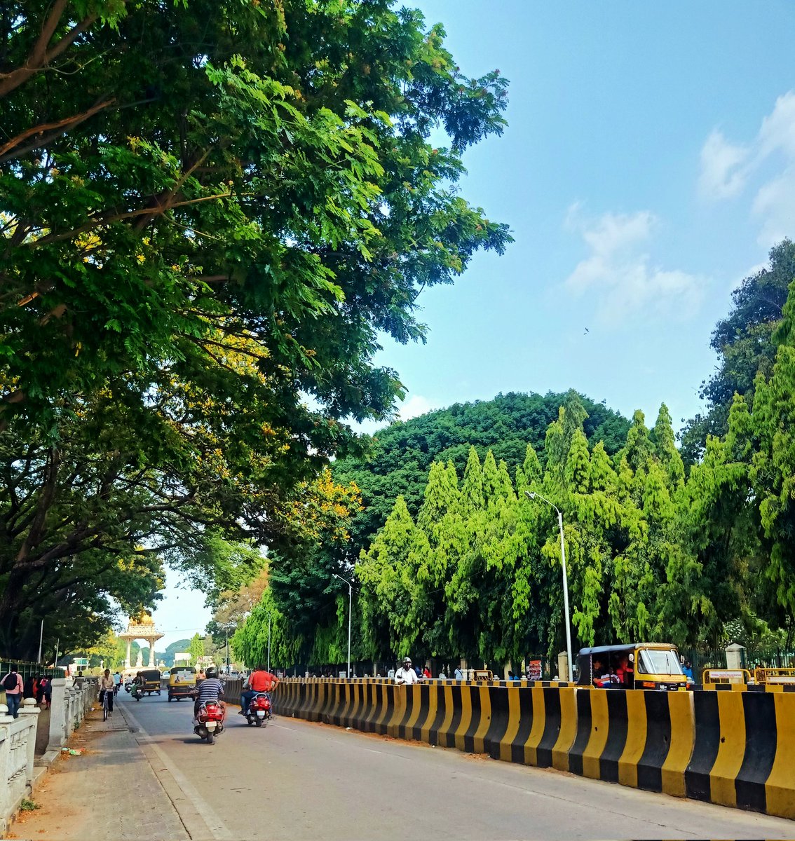 siri_mysuru's tweet photo. Green and Clean roads of Mysuru.
#CandidMysuru https://t.co/6DY1OONQ7l