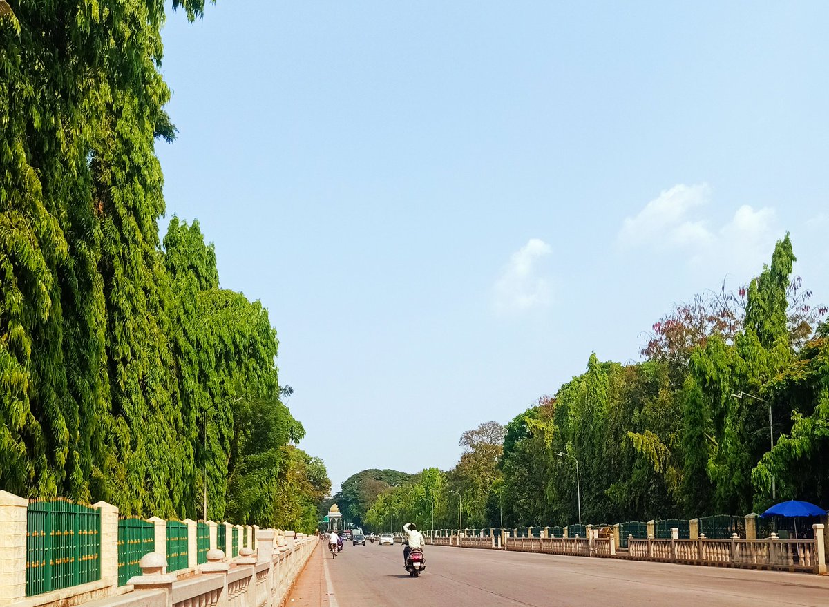 siri_mysuru's tweet photo. Green and Clean roads of Mysuru.
#CandidMysuru https://t.co/6DY1OONQ7l