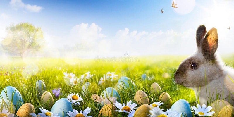 BirdhouseT's tweet photo. 🤩The Easter holidays are coming up and we have lots of events planned for children and families in #Grimsby and #Cleethorpes - see our Events page on Facebook for all the info🤩
@BirdhouseT @FF_NELincs @DiscoverNEL https://t.co/1T1zstOpQ5