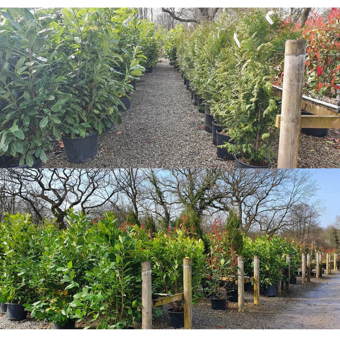 Grasslands Nursery tweet media