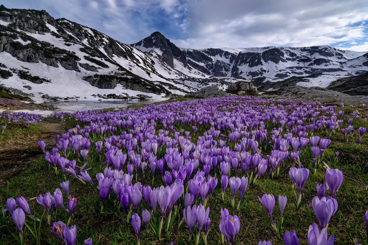 🌷НАТАЛИ🌷 tweet media