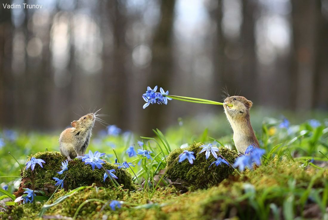 🌷НАТАЛИ🌷 tweet media