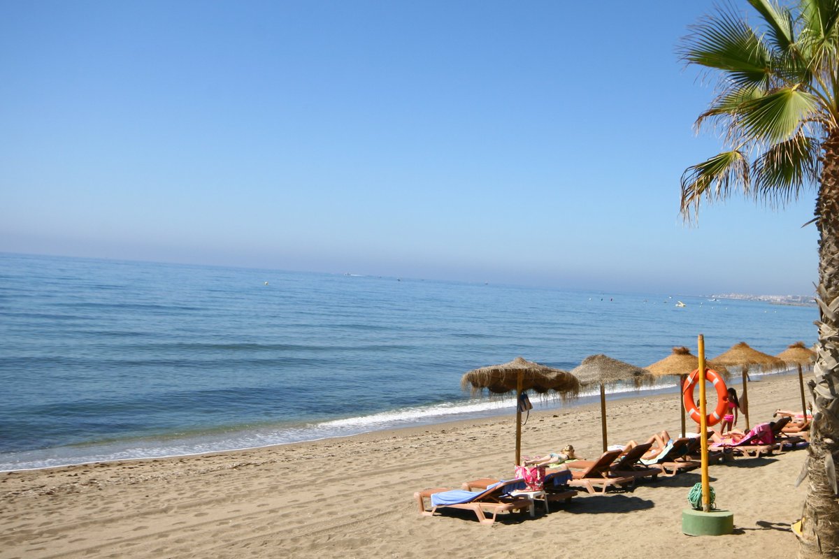 2022 is set to be a record breaking year for HolidayRentalontheWeb. Here are some of our favourite beaches to visit during your stay!
icontact-archive.com/archive?c=1055…
#holidayrentals #herecomesthesun #holidayrentalontheweb