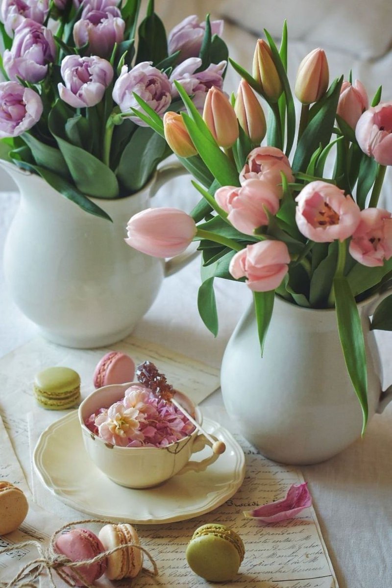 🌷НАТАЛИ🌷 tweet media