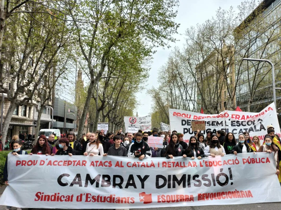 Sindicat d'Estudiants🇵🇸 tweet media