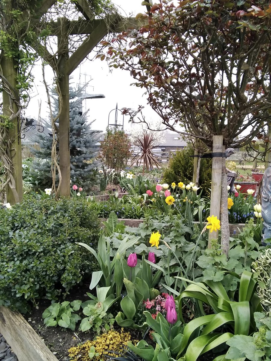 Welcome to our New Land Based Studies Twitter page! 
Here you will see all of the wonderful outdoor learning and developments within out kitchen garden and grounds 🌱🌿🌾