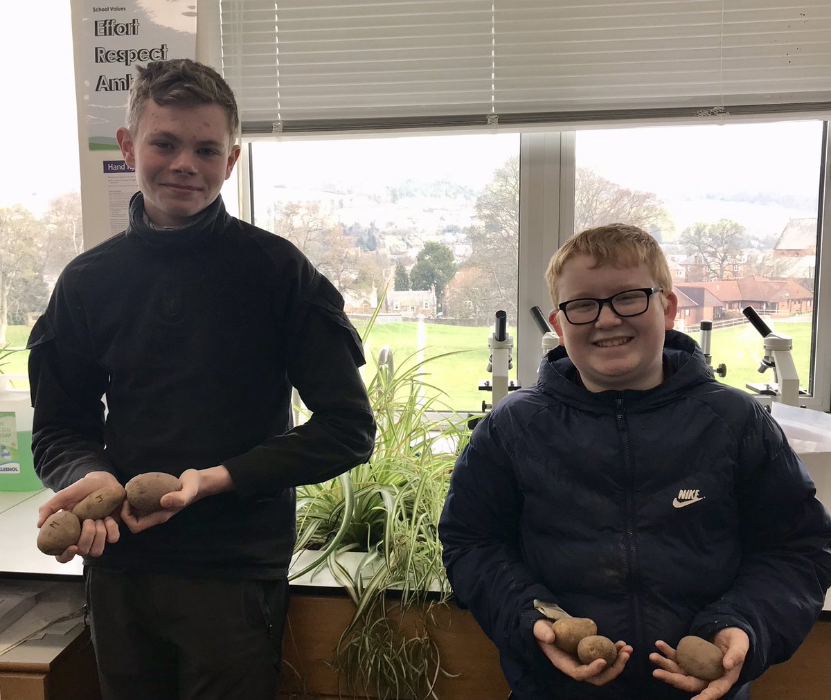 Mrs_Pritchard_'s tweet photo. Thank you so much to @DandelionScot for all these seed potatoes!  Our @Gala_Academy students are really looking forward to taking part in the #BigTattieExperiment and seeing who has the greenest fingers. 
#STEM @GalashielsStem @EildonWestSTEM https://t.co/J0qX9cnt5y