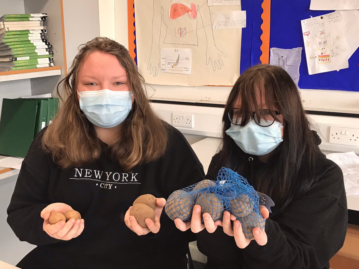 Mrs_Pritchard_'s tweet photo. Thank you so much to @DandelionScot for all these seed potatoes!  Our @Gala_Academy students are really looking forward to taking part in the #BigTattieExperiment and seeing who has the greenest fingers. 
#STEM @GalashielsStem @EildonWestSTEM https://t.co/J0qX9cnt5y