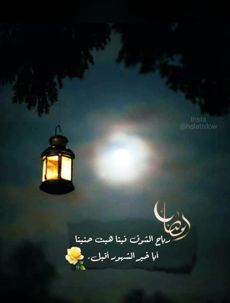 نور العين (@noral_____2) on Twitter photo 