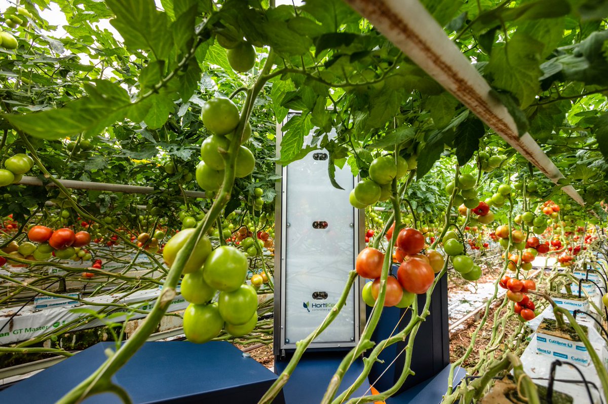 BergHortimotive's tweet photo. The Plantalyzer® is nominated for the 2022 'Tuinbouw Ondernemersprijs', theme prize 'Robotics and data-driven'. You can admire the Plantalyzer® at Fruit Logistica Hall 9 stand B-12 in Berlin. Will we see you between 5 and 7 April in Berlin? #HortiKey #fruitlogistica #Berlin https://t.co/k1LWEPTgO2
