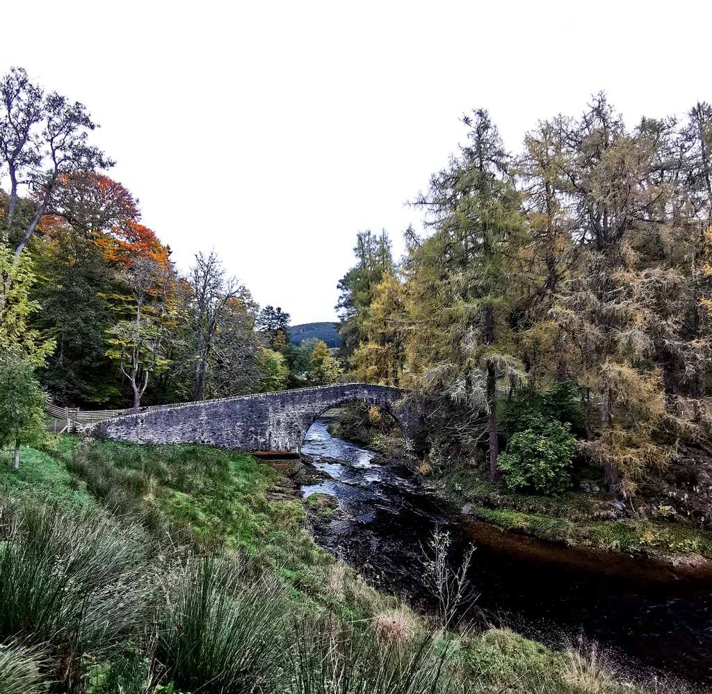 carmelharger's tweet photo. C A I R N G O R M S | Couldn't think of a more relaxing way to spend our honeymoon than to spend some time in one of the most picturesque locations in the UK. We had the most wonderful time exploring the highlands. ⁠
⁠
The hunt to spot an otter in the wild continues! 🦦 https://t.co/J6GY1nR7Wo