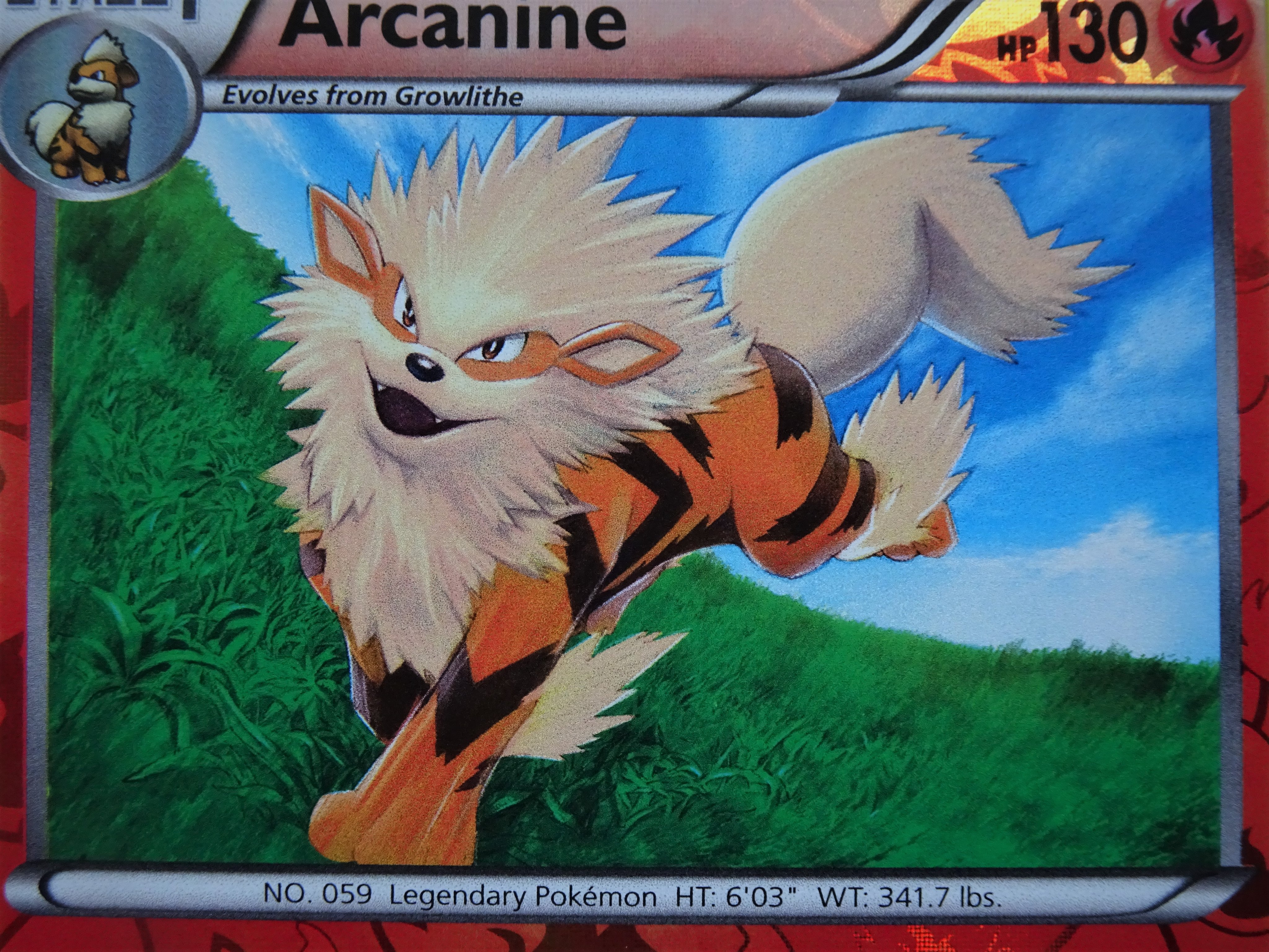 日本正規代理店品 ポケモンカード イラストレーター サイン色紙 有田ミツヒロ先生 ミュウ 薩摩琵琶普及品 おもちゃ ホビー グッズ アート用品 Omicron In
