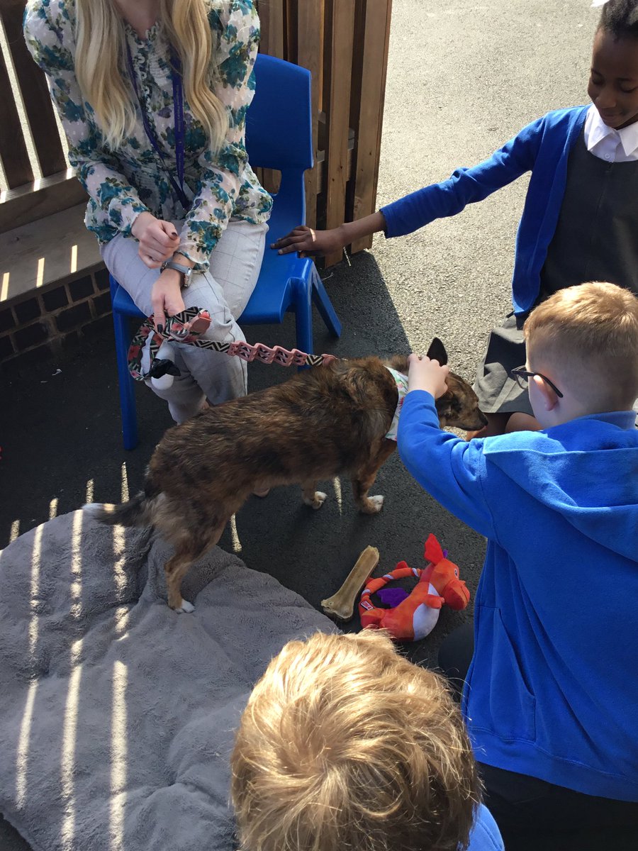 latimerprimary's tweet image. Year 6 had the pleasure of meeting Lola on Friday. What a fantastic way to end such a positive week. The year 6s felt prepared and relaxed to sit their mock SATs this week. #ClassTJ #ClassBL