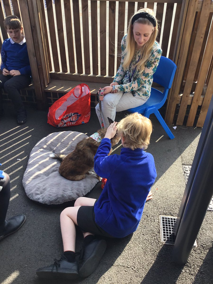latimerprimary's tweet image. Year 6 had the pleasure of meeting Lola on Friday. What a fantastic way to end such a positive week. The year 6s felt prepared and relaxed to sit their mock SATs this week. #ClassTJ #ClassBL