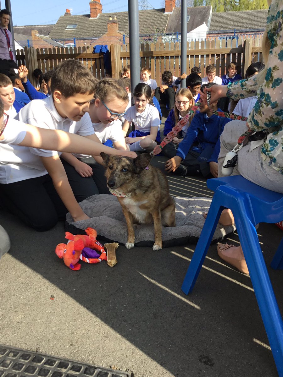 latimerprimary's tweet image. Year 6 had the pleasure of meeting Lola on Friday. What a fantastic way to end such a positive week. The year 6s felt prepared and relaxed to sit their mock SATs this week. #ClassTJ #ClassBL