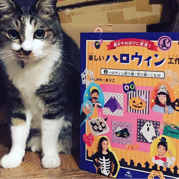 ノージーのひらめき工房 の評価や評判 感想など みんなの反応を1週間ごとにまとめて紹介 ついラン