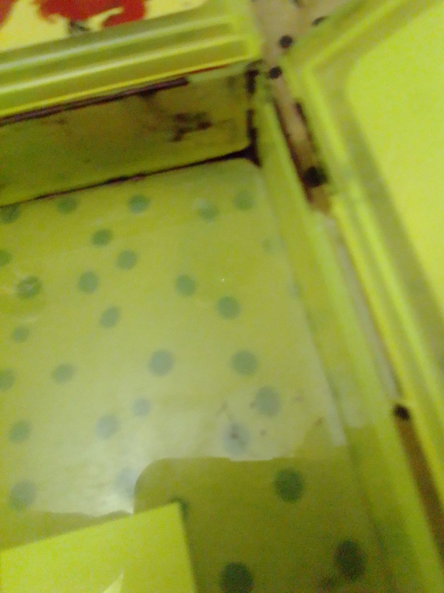 Possible tweet media