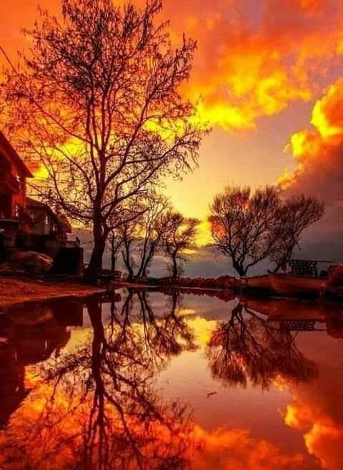 Good evening💕💙💗💜✨☕❤🌴🍃🌿🍀✨