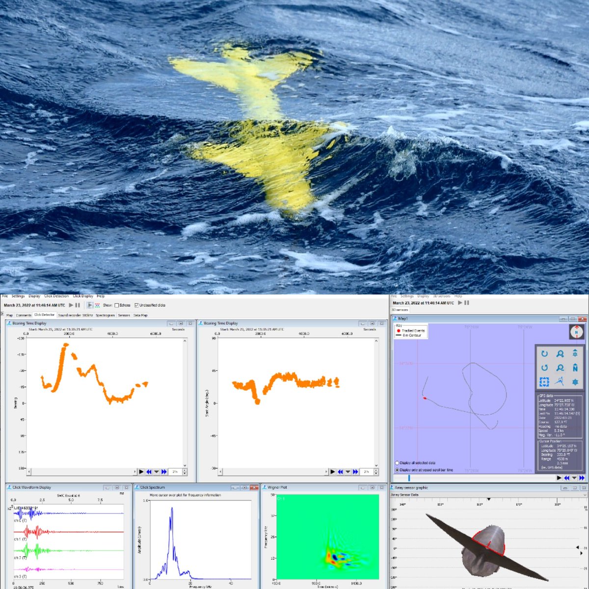 MCRInt's tweet photo. 3D hydrophone array trials with @DukeMarineLab and @BOEM Lower image shows a #PAMGuard screen grab of the 3D track of a single sperm whale. PAMguard windows show bearing, slant angle and array. #3dtracking #hydrophone #bioacoustics #spermwhales #spermwhale #STEM #Cetacean https://t.co/42RM45854w