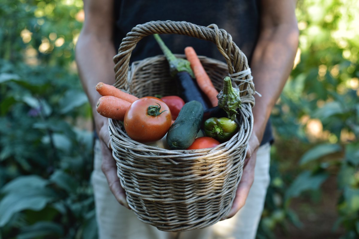 BuildNovaScotia's tweet photo. The term for the Dartmouth Urban Garden (DUG) pilot project has been extended from 1 year to 2 years.

We are seeking to partner with a local non-profit group to set up, maintain, and manage an urban garden at Dartmouth Cove.

For more information, visit: https://t.co/jffZ2Z4AbL https://t.co/r6xLZqjEhl