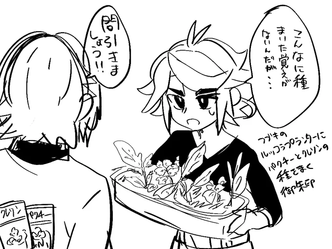 スオフブくん
ルッコラ栽培 
