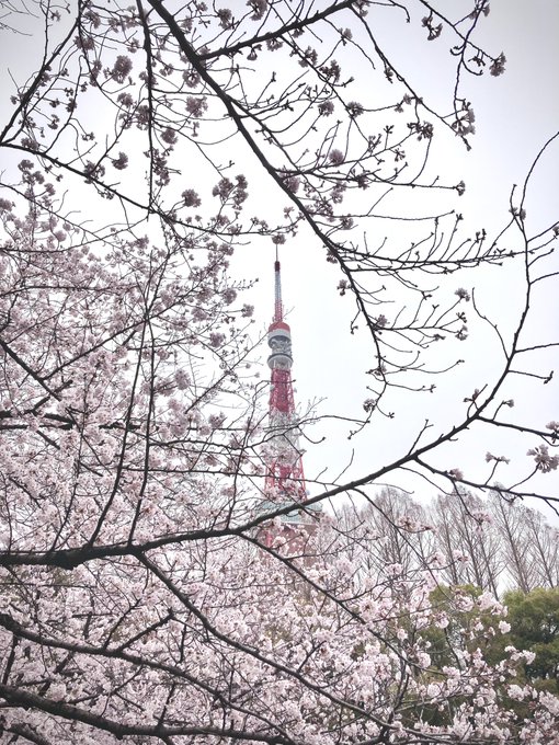 出社できたから撮ってきた https://t.co/TSQ0JcUHy7