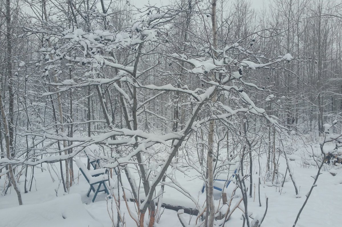 TheRustyIRiS's tweet photo. Another Beautiful "Spring" day typical for New Brunswick. Some call it Half Spring, at least it's not -10C. 

#Snow #HalfSpring #Nature #SubArctic #SnowySpring #NaturePhotography #NewBrunswick #Canada https://t.co/XAAYJC71rl
