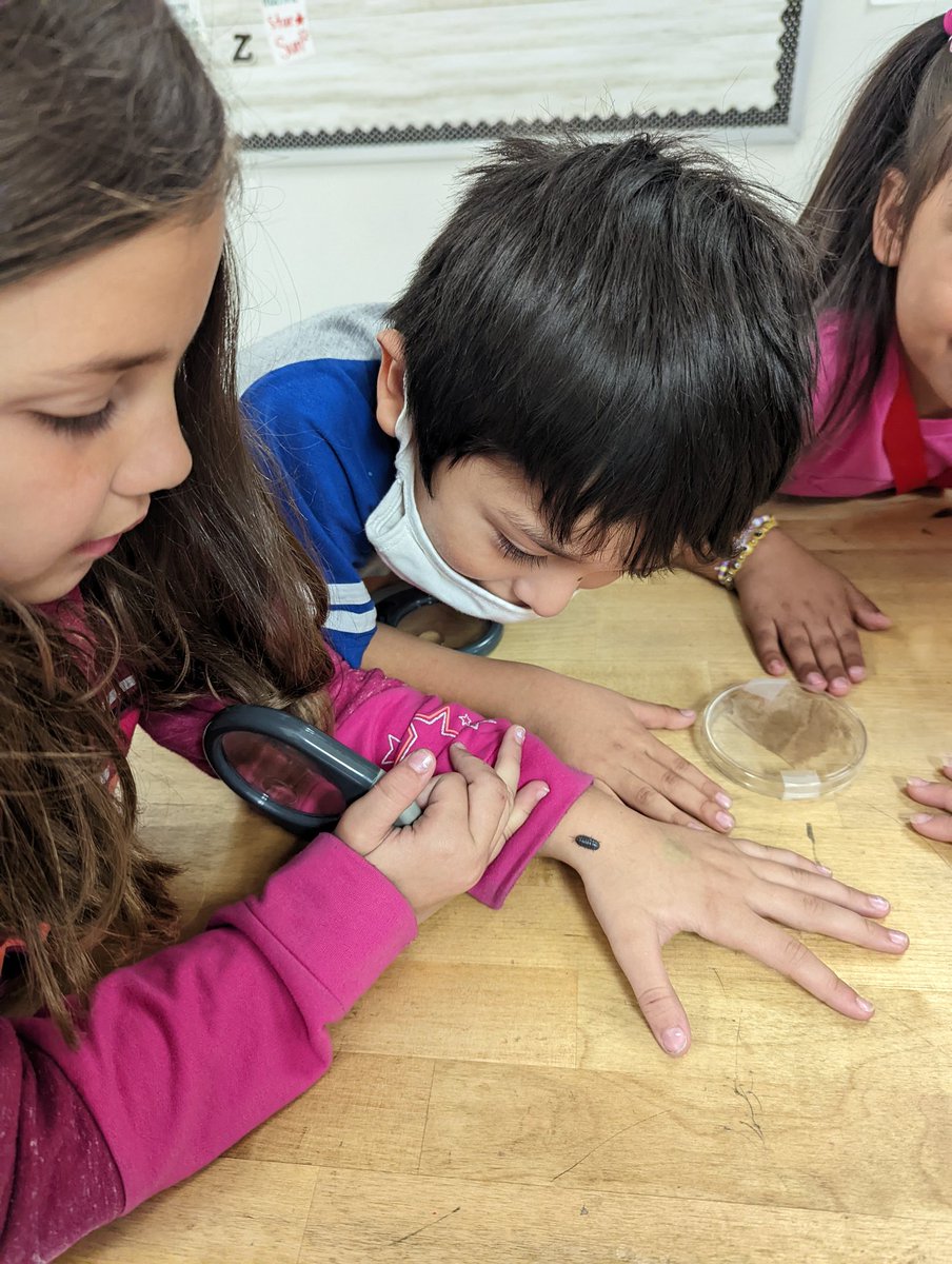 This week in STEM! #terrelltogether #rolliepollies